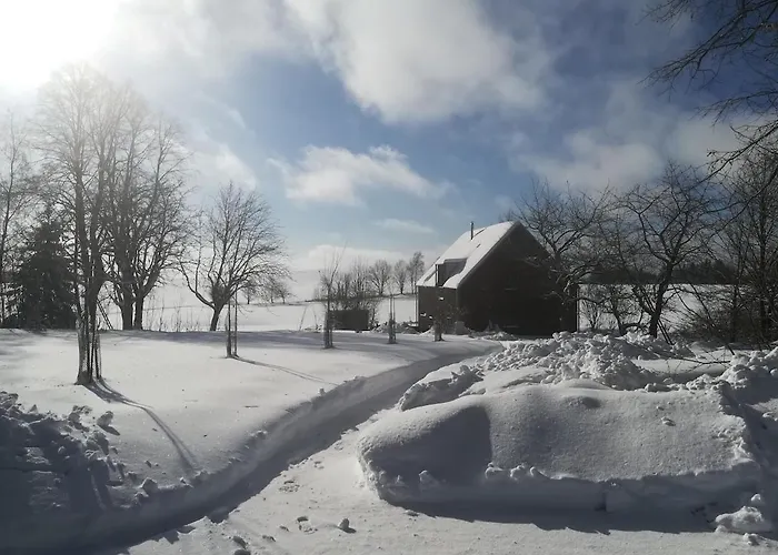 In A Wooden House *